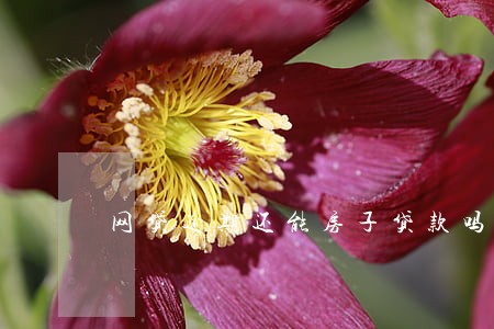 网贷逾期还能房子贷款吗 网贷逾期还能房子贷款吗