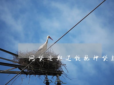 网贷逾期还能抵押贷款吗 网贷逾期还能抵押贷款吗
