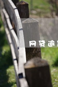 网贷逾期还能拘留 网贷逾期还能拘留