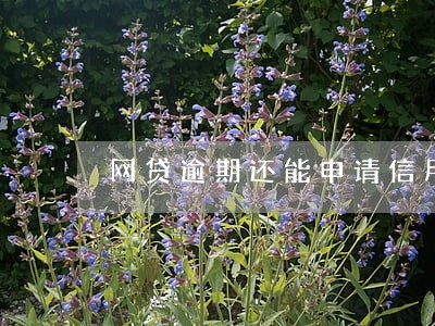网贷逾期还能申请信用卡么 网贷逾期还能申请信用卡么
