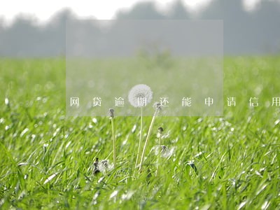 网贷逾期还能申请信用贷吗 网贷逾期还能申请信用贷吗