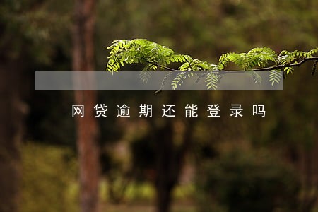 网贷逾期还能登录吗 网贷逾期还能登录吗