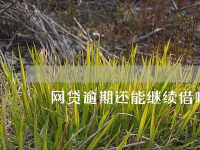 网贷逾期还能继续借吗 网贷逾期还能继续借吗