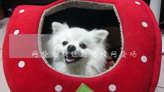 网贷逾期还能继续网贷吗 网贷逾期还能继续网贷吗