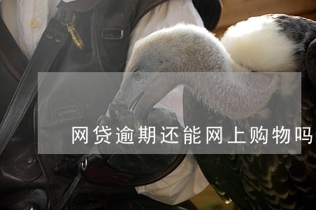 网贷逾期还能网上购物吗 网贷逾期还能网上购物吗