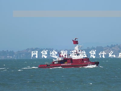 网贷逾期还能贷什么口子