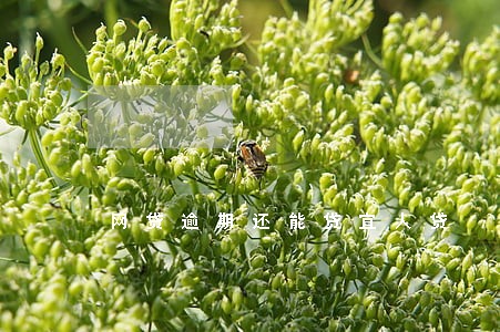 网贷逾期还能贷宜人贷 网贷逾期还能贷宜人贷