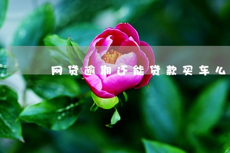 网贷逾期还能贷款买车么 网贷逾期还能贷款买车么