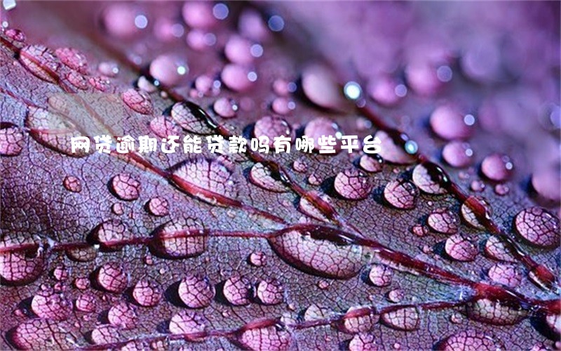 网贷逾期还能贷款吗有哪些平台 网贷逾期还能贷款吗有哪些平台