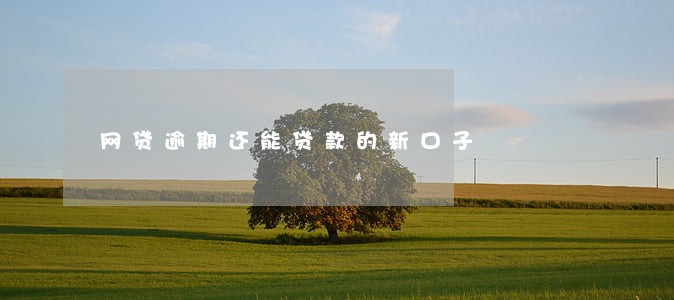网贷逾期还能贷款的新口子 网贷逾期还能贷款的新口子