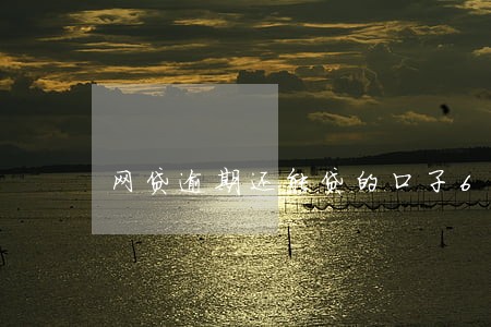 网贷逾期还能贷的口子6