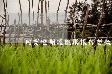 网贷逾期还能跟银行贷款 网贷逾期还能跟银行贷款