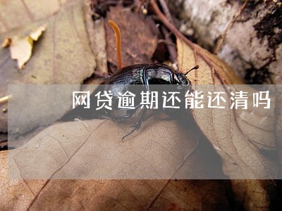 网贷逾期还能还清吗 网贷逾期还能还清吗
