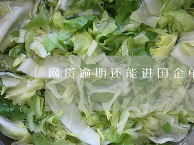 网贷逾期还能进国企单位吗 网贷逾期还能进国企单位吗