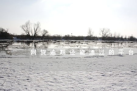网贷逾期还能通过的平台 网贷逾期还能通过的平台