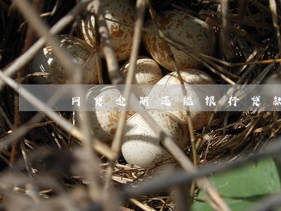 网贷逾期还能银行贷款吗 网贷逾期还能银行贷款吗