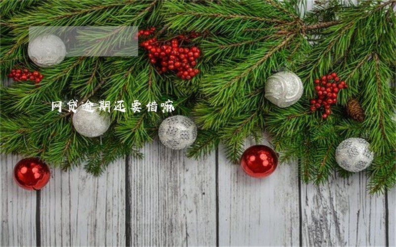 网贷逾期还要借嘛 网贷逾期还要借嘛