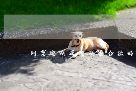 网贷逾期还逾期费合法吗 网贷逾期还逾期费合法吗