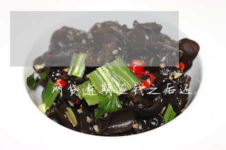 网贷逾期还钱之后还会起诉吗 网贷逾期还钱之后还会起诉吗