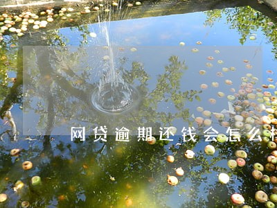 网贷逾期还钱会怎么样 网贷逾期还钱会怎么样