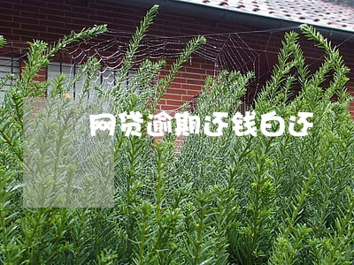 网贷逾期还钱白还 网贷逾期还钱白还