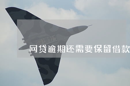 网贷逾期还需要保留借款合同吗 网贷逾期还需要保留借款合同吗