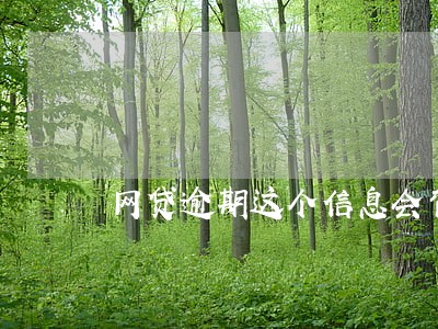 网贷逾期这个信息会背一辈子吗