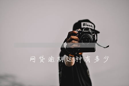 网贷逾期这种有多少 网贷逾期这种有多少