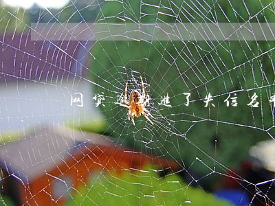 网贷逾期进了失信名单 网贷逾期进了失信名单