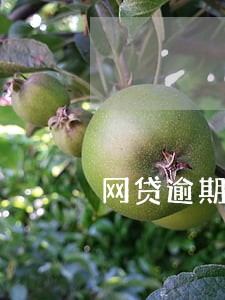 网贷逾期进入专项备案是什么意思 网贷逾期进入专项备案是什么意思
