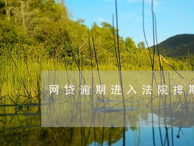 网贷逾期进入法院排期 网贷逾期进入法院排期