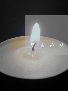 网贷逾期进入资料审核 网贷逾期进入资料审核