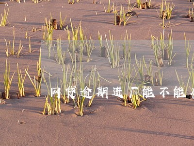 网贷逾期进厂能不能存钱 网贷逾期进厂能不能存钱
