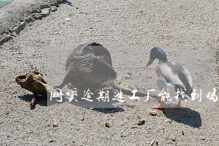 网贷逾期进工厂能找到吗 网贷逾期进工厂能找到吗