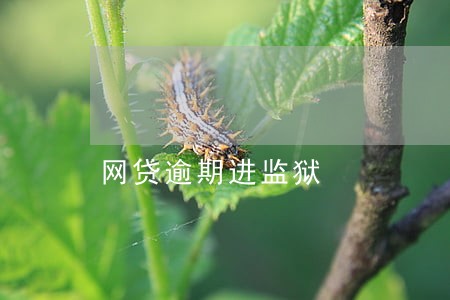 网贷逾期进监狱 网贷逾期进监狱