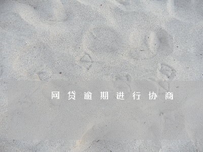 网贷逾期进行协商 网贷逾期进行协商