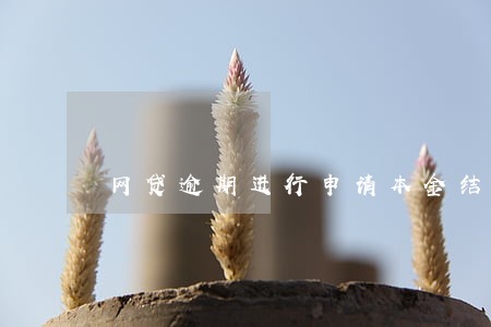 网贷逾期进行申请本金结算 网贷逾期进行申请本金结算