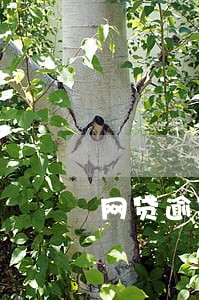 网贷逾期违约计算方法 网贷逾期违约计算方法