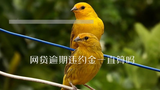 网贷逾期违约金一直算吗 网贷逾期违约金一直算吗
