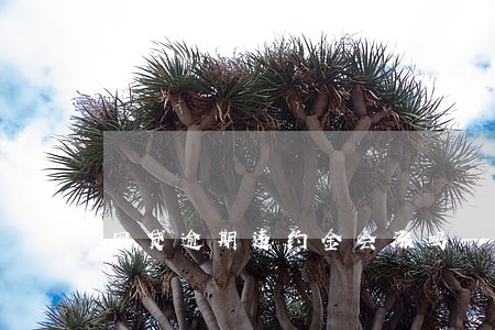 网贷逾期违约金会涨吗 网贷逾期违约金会涨吗