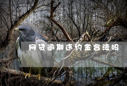 网贷逾期违约金合法吗 网贷逾期违约金合法吗