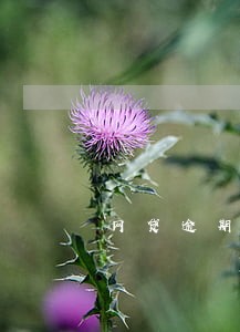 网贷逾期违约金怎么计算 网贷逾期违约金怎么计算