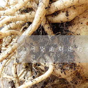 网贷逾期违约金怎么追回 网贷逾期违约金怎么追回