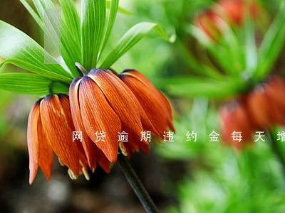 网贷逾期违约金每天增加吗 网贷逾期违约金每天增加吗