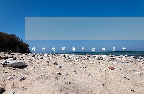 网贷逾期违约金给多少 网贷逾期违约金给多少