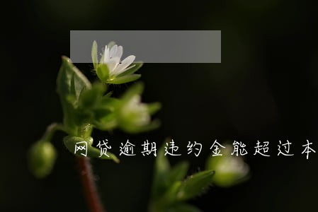 网贷逾期违约金能超过本金么 网贷逾期违约金能超过本金么