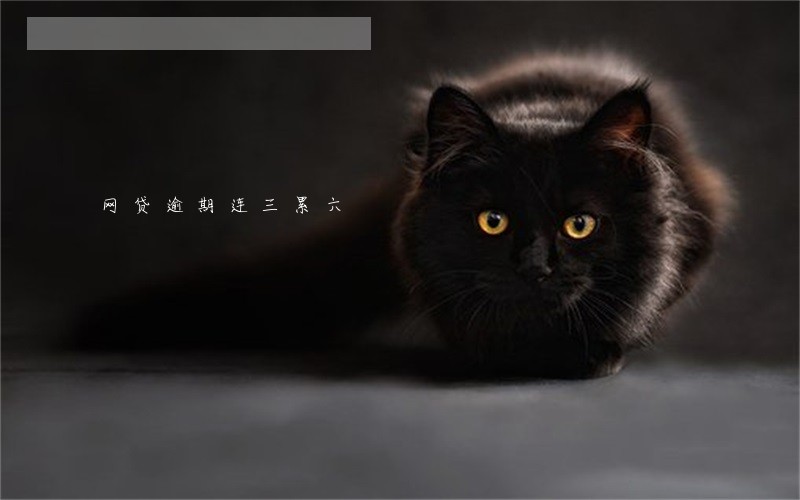 网贷逾期连三累六 网贷逾期连三累六