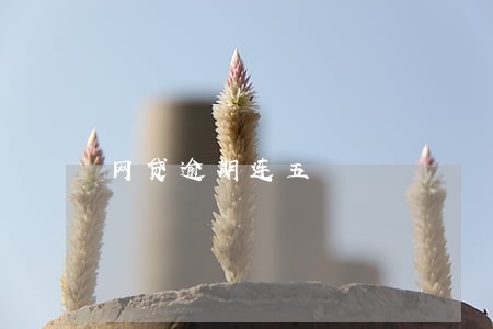 网贷逾期连五 网贷逾期连五