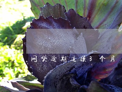 网贷逾期连续3个月 网贷逾期连续3个月