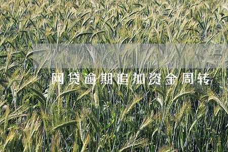 网贷逾期追加资金周转 网贷逾期追加资金周转